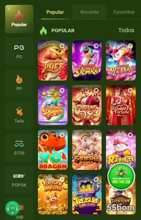 Suporte 24/7 em Português para Você - 55bom